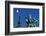 French Flag-Hans Peter Merten-Framed Photographic Print