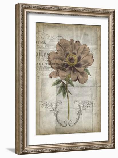 French Floral II-Jennifer Goldberger-Framed Art Print