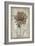 French Floral II-Jennifer Goldberger-Framed Art Print