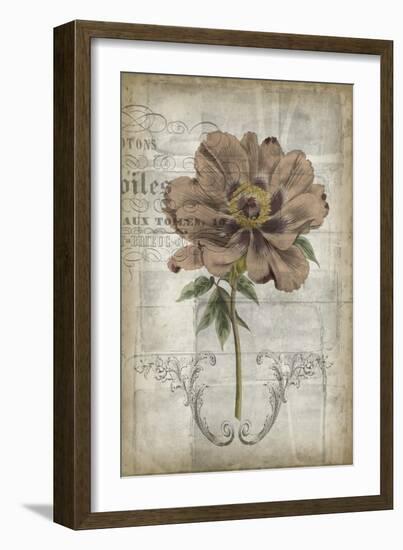 French Floral II-Jennifer Goldberger-Framed Art Print