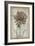 French Floral II-Jennifer Goldberger-Framed Art Print