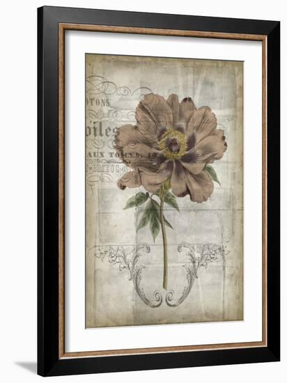 French Floral II-Jennifer Goldberger-Framed Art Print