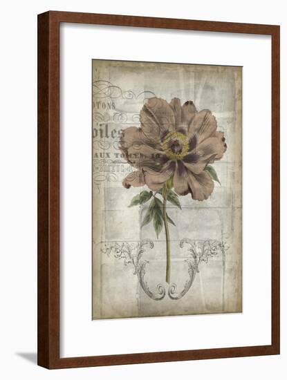 French Floral II-Jennifer Goldberger-Framed Art Print