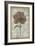 French Floral IV-Jennifer Goldberger-Framed Art Print