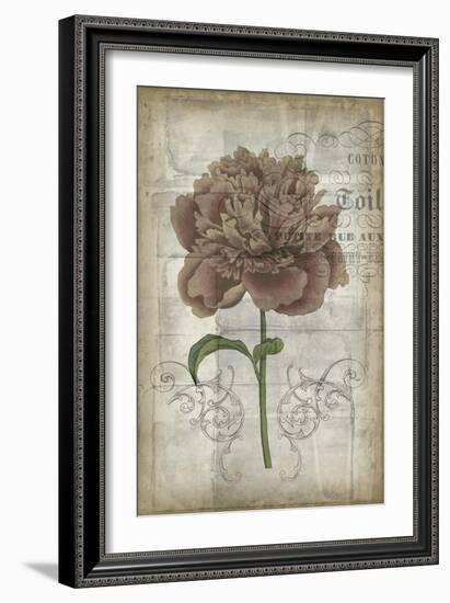 French Floral IV-Jennifer Goldberger-Framed Art Print