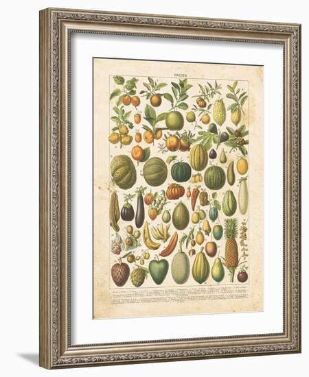 French Fruit Chart-Gwendolyn Babbitt-Framed Art Print