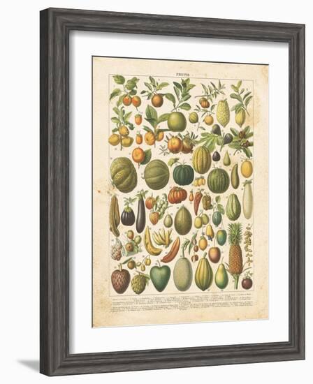 French Fruit Chart-Gwendolyn Babbitt-Framed Art Print