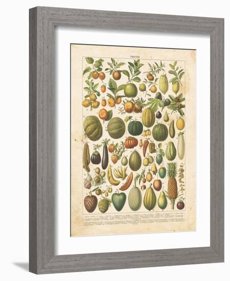 French Fruit Chart-Gwendolyn Babbitt-Framed Art Print