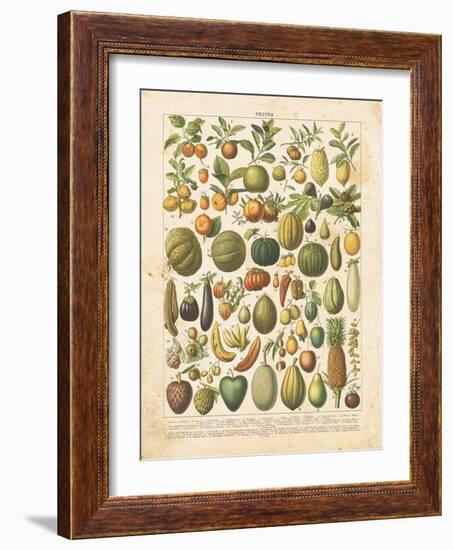 French Fruit Chart-Gwendolyn Babbitt-Framed Art Print