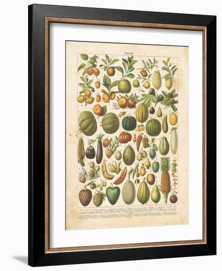 French Fruit Chart-Gwendolyn Babbitt-Framed Art Print