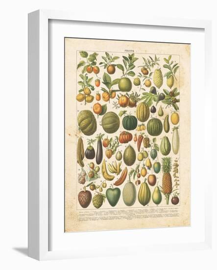 French Fruit Chart-Gwendolyn Babbitt-Framed Art Print