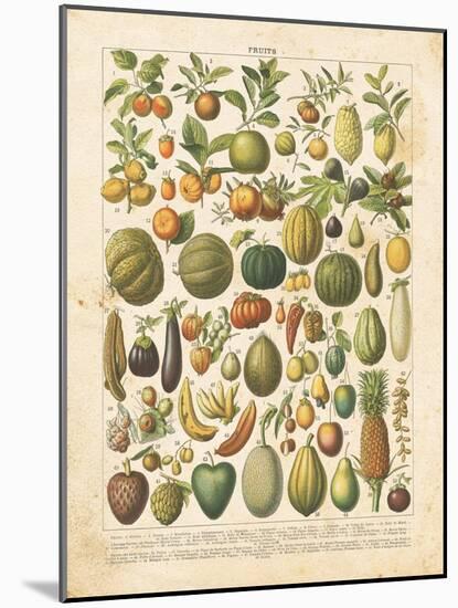 French Fruit Chart-Gwendolyn Babbitt-Mounted Art Print