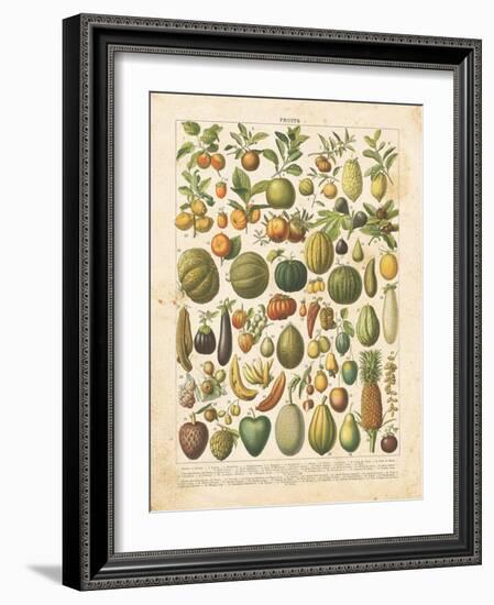 French Fruit Chart-Gwendolyn Babbitt-Framed Art Print