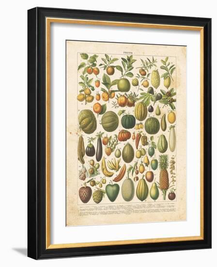 French Fruit Chart-Gwendolyn Babbitt-Framed Art Print