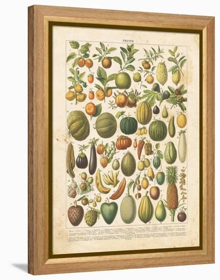 French Fruit Chart-Gwendolyn Babbitt-Framed Stretched Canvas