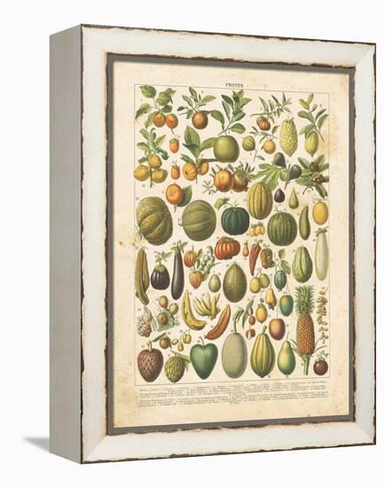 French Fruit Chart-Gwendolyn Babbitt-Framed Stretched Canvas