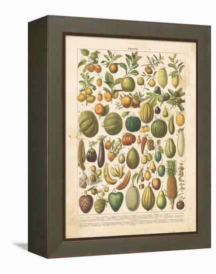 French Fruit Chart-Gwendolyn Babbitt-Framed Stretched Canvas