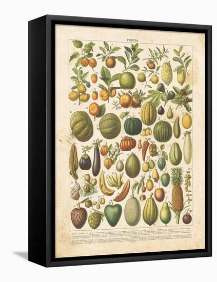 French Fruit Chart-Gwendolyn Babbitt-Framed Stretched Canvas