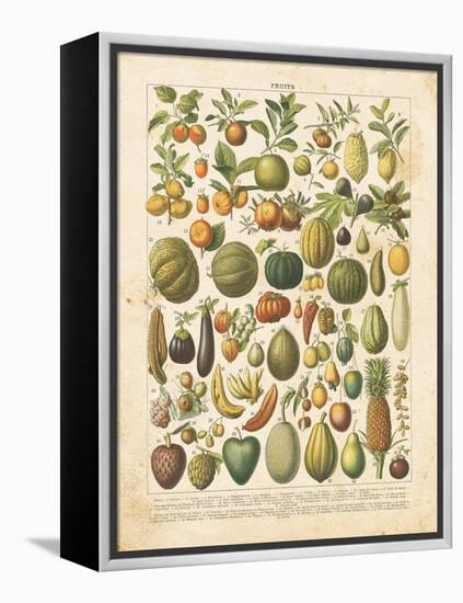 French Fruit Chart-Gwendolyn Babbitt-Framed Stretched Canvas