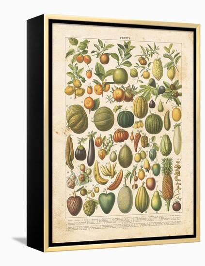 French Fruit Chart-Gwendolyn Babbitt-Framed Stretched Canvas