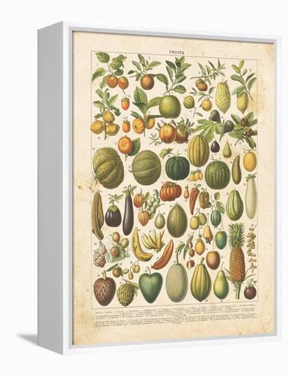 French Fruit Chart-Gwendolyn Babbitt-Framed Stretched Canvas