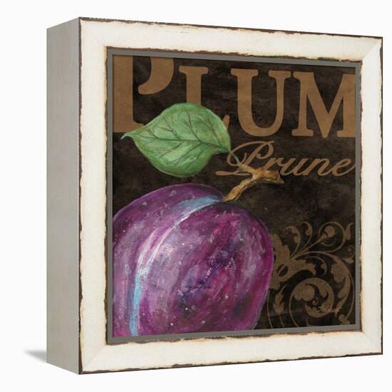 French Fruit Plum-Todd Williams-Framed Stretched Canvas