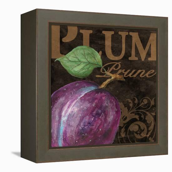 French Fruit Plum-Todd Williams-Framed Stretched Canvas