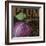 French Fruit Plum-Todd Williams-Framed Art Print