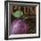 French Fruit Plum-Todd Williams-Framed Art Print