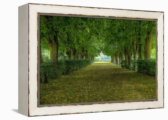 French Gardens-Shelley Lake-Framed Stretched Canvas