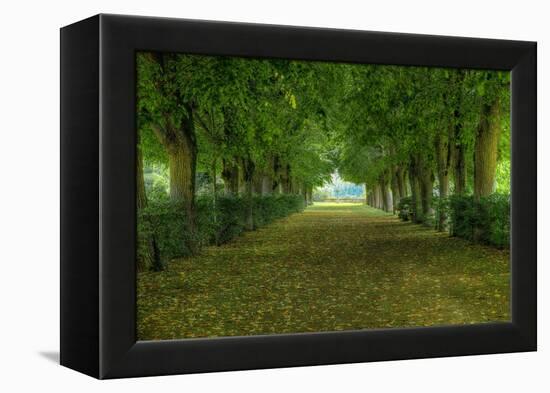 French Gardens-Shelley Lake-Framed Stretched Canvas