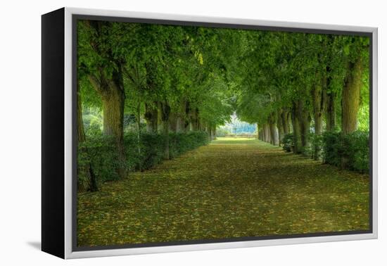 French Gardens-Shelley Lake-Framed Stretched Canvas