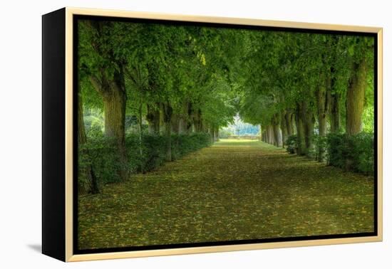 French Gardens-Shelley Lake-Framed Stretched Canvas