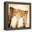 French Glow II-Emily Navas-Framed Premier Image Canvas