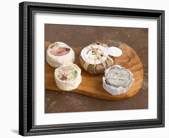 French Goat Cheese, Clos Des Iles, Le Brusc, Cote d'Azur, Var, France-Per Karlsson-Framed Photographic Print