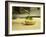 French Goat Cheese in Pastry, Clos Des Iles, Le Brusc, Cote d'Azur, Var, France-Per Karlsson-Framed Photographic Print