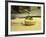 French Goat Cheese in Pastry, Clos Des Iles, Le Brusc, Cote d'Azur, Var, France-Per Karlsson-Framed Photographic Print