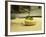 French Goat Cheese in Pastry, Clos Des Iles, Le Brusc, Cote d'Azur, Var, France-Per Karlsson-Framed Photographic Print