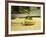 French Goat Cheese in Pastry, Clos Des Iles, Le Brusc, Cote d'Azur, Var, France-Per Karlsson-Framed Photographic Print