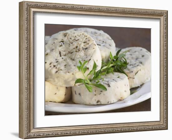 French Goat Cheese on Wooden Table, Clos Des Iles, Le Brusc, Cote d'Azur, Var, France-Per Karlsson-Framed Photographic Print