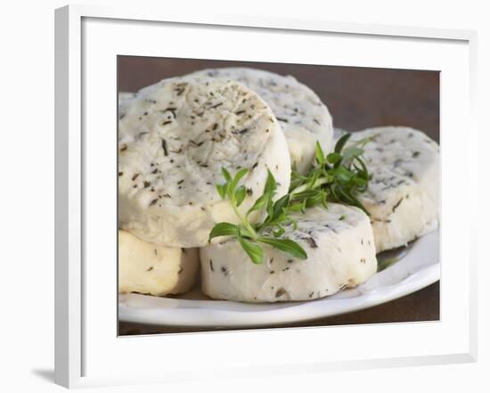 French Goat Cheese on Wooden Table, Clos Des Iles, Le Brusc, Cote d'Azur, Var, France-Per Karlsson-Framed Photographic Print