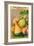 French Gourd Selection Seed Packet-null-Framed Art Print
