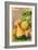 French Gourd Selection Seed Packet-null-Framed Art Print