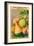 French Gourd Selection Seed Packet-null-Framed Art Print