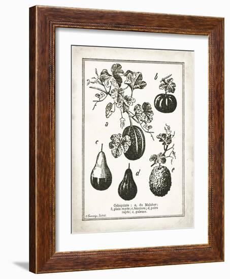 French Gourds-Gwendolyn Babbitt-Framed Art Print