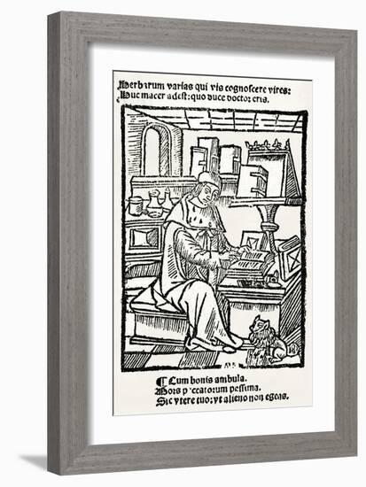 French Herbalist Marcus Floridus-null-Framed Art Print