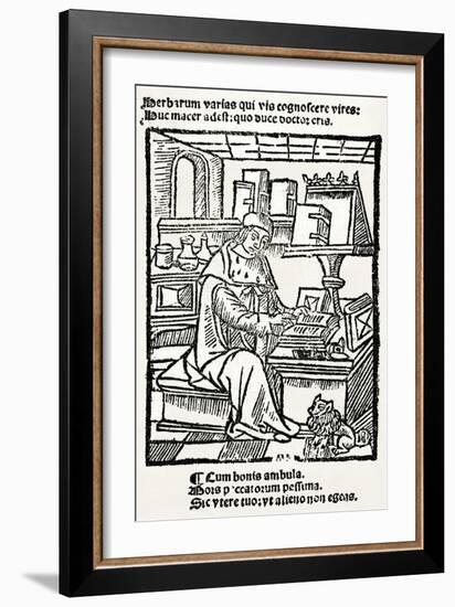 French Herbalist Marcus Floridus-null-Framed Art Print