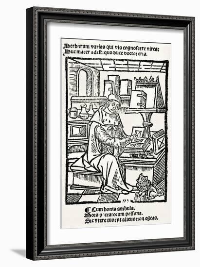 French Herbalist Marcus Floridus-null-Framed Art Print