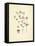 French Herbarium 2-Devon Ross-Framed Stretched Canvas