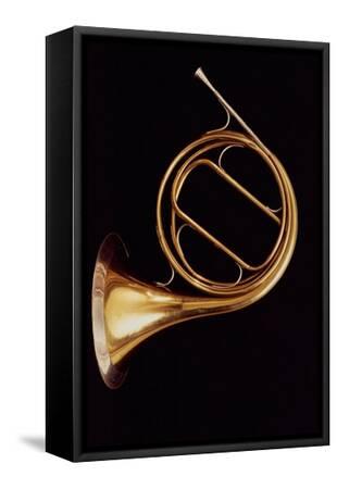 Raoux horn best sale